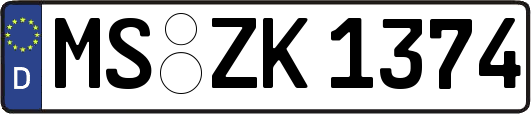 MS-ZK1374