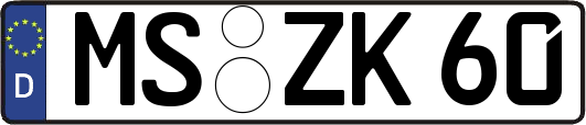 MS-ZK60