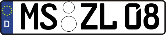 MS-ZL08