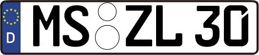 MS-ZL30