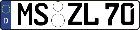 MS-ZL70