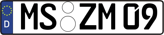 MS-ZM09