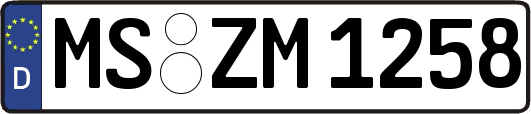 MS-ZM1258