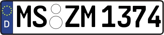 MS-ZM1374
