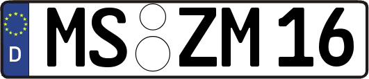 MS-ZM16