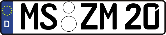 MS-ZM20