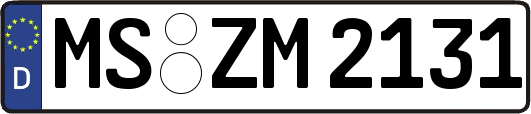 MS-ZM2131