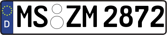 MS-ZM2872