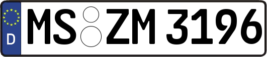 MS-ZM3196