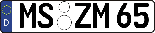 MS-ZM65