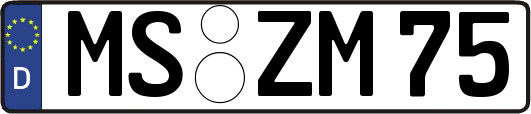 MS-ZM75