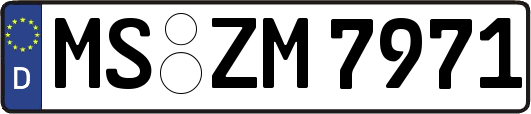 MS-ZM7971