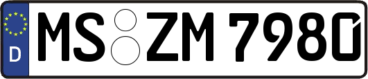 MS-ZM7980
