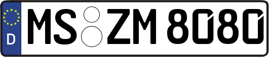 MS-ZM8080
