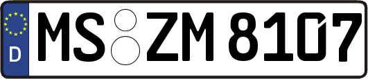 MS-ZM8107