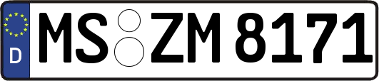 MS-ZM8171