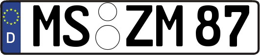 MS-ZM87
