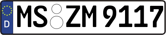 MS-ZM9117