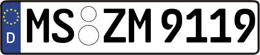MS-ZM9119