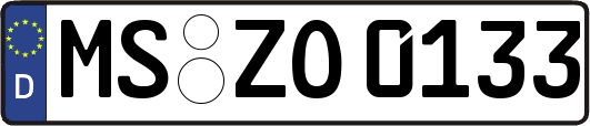 MS-ZO0133