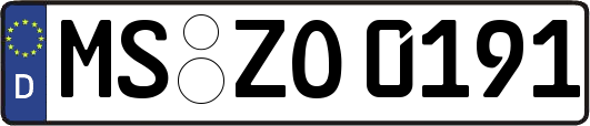 MS-ZO0191