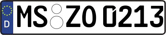 MS-ZO0213