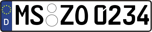 MS-ZO0234