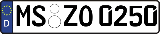MS-ZO0250