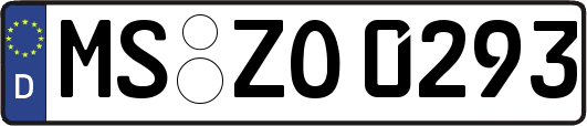 MS-ZO0293