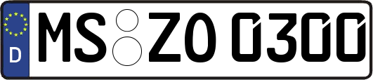 MS-ZO0300