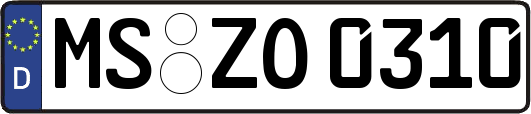 MS-ZO0310
