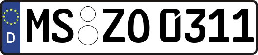 MS-ZO0311