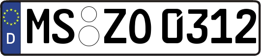 MS-ZO0312