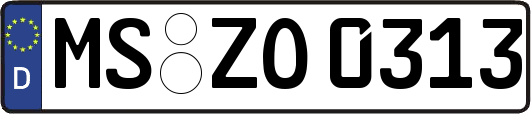 MS-ZO0313