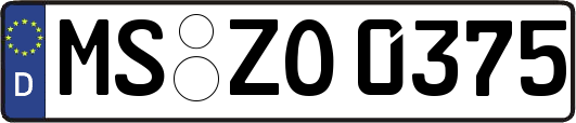 MS-ZO0375