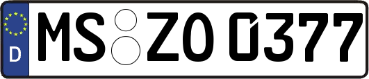 MS-ZO0377