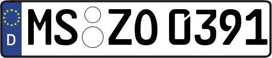 MS-ZO0391