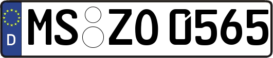 MS-ZO0565