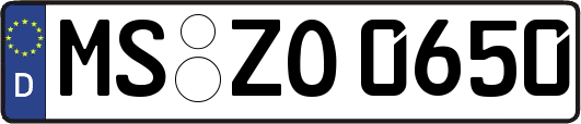 MS-ZO0650