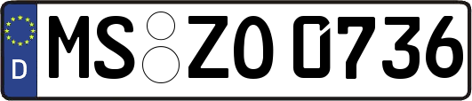 MS-ZO0736