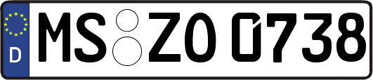 MS-ZO0738