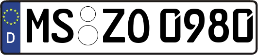 MS-ZO0980