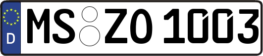 MS-ZO1003