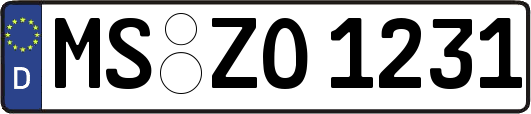 MS-ZO1231