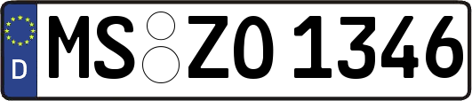MS-ZO1346