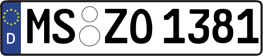 MS-ZO1381