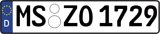 MS-ZO1729