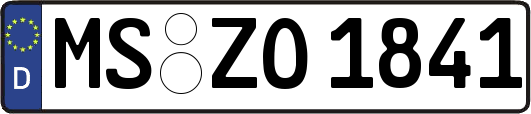 MS-ZO1841