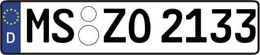 MS-ZO2133