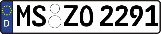 MS-ZO2291